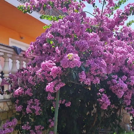 Milka Διαμέρισμα